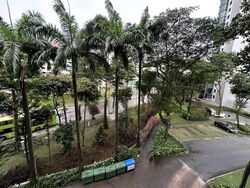 Parc Oasis (D22), Condominium #578314321
